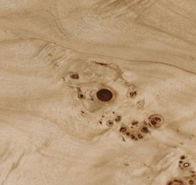 Burl-Wood Veneer