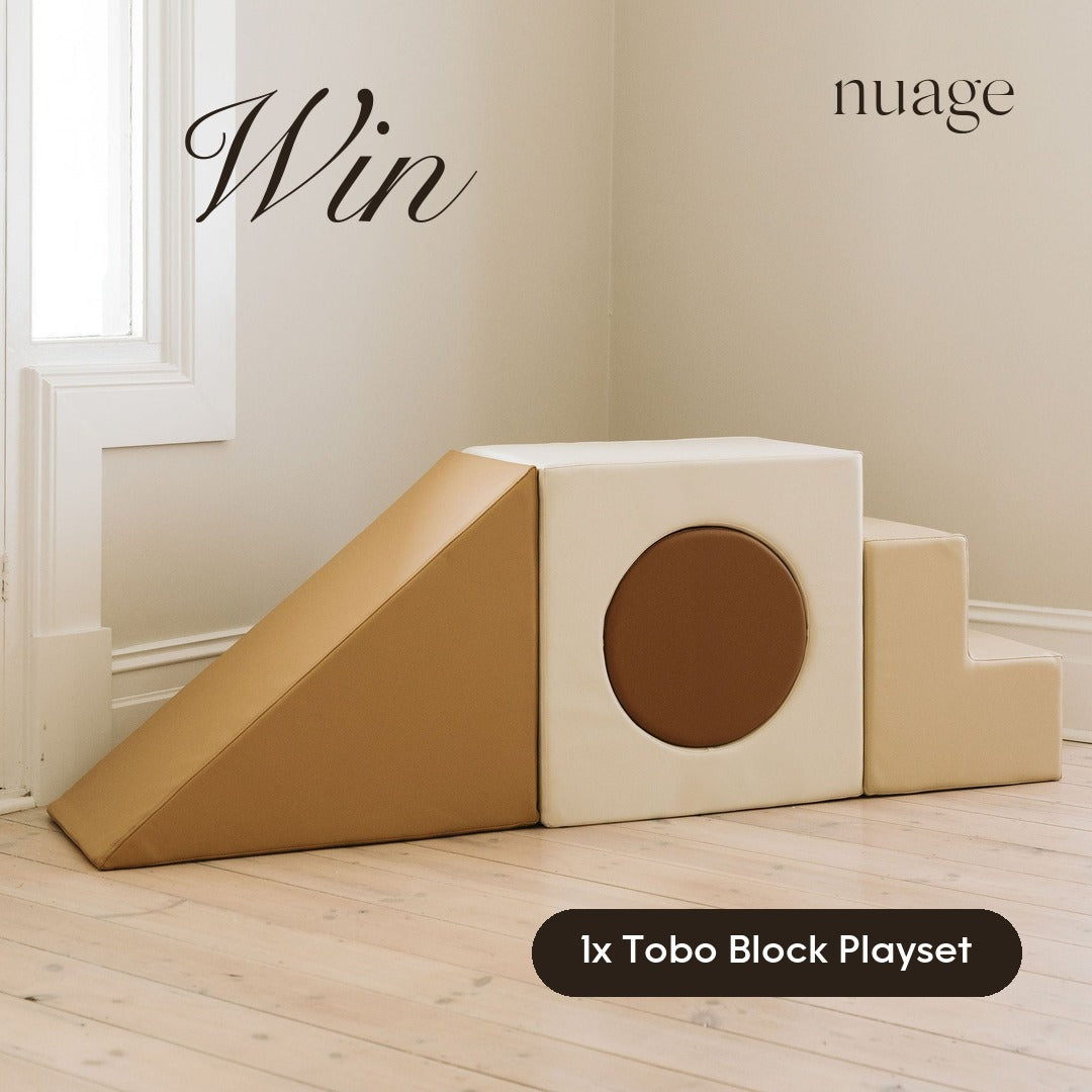 2nd prize: Tobo Block Playset